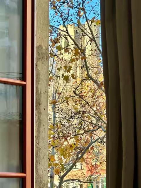 Apartment La Magie De Carnot Meuble De Tourisme 3 Etoiles *